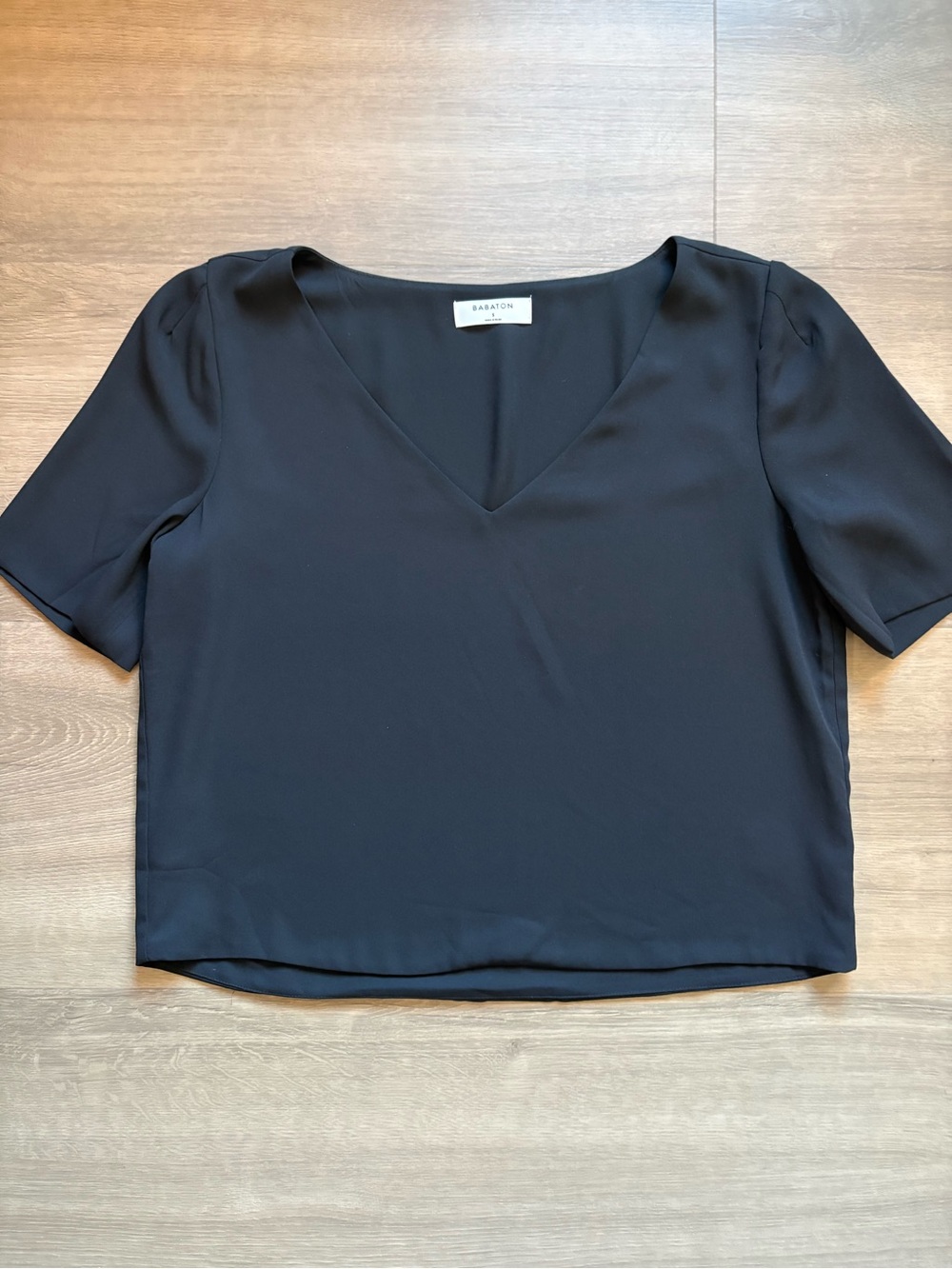 Aritzia V-Neck Short Sleeve Blouse